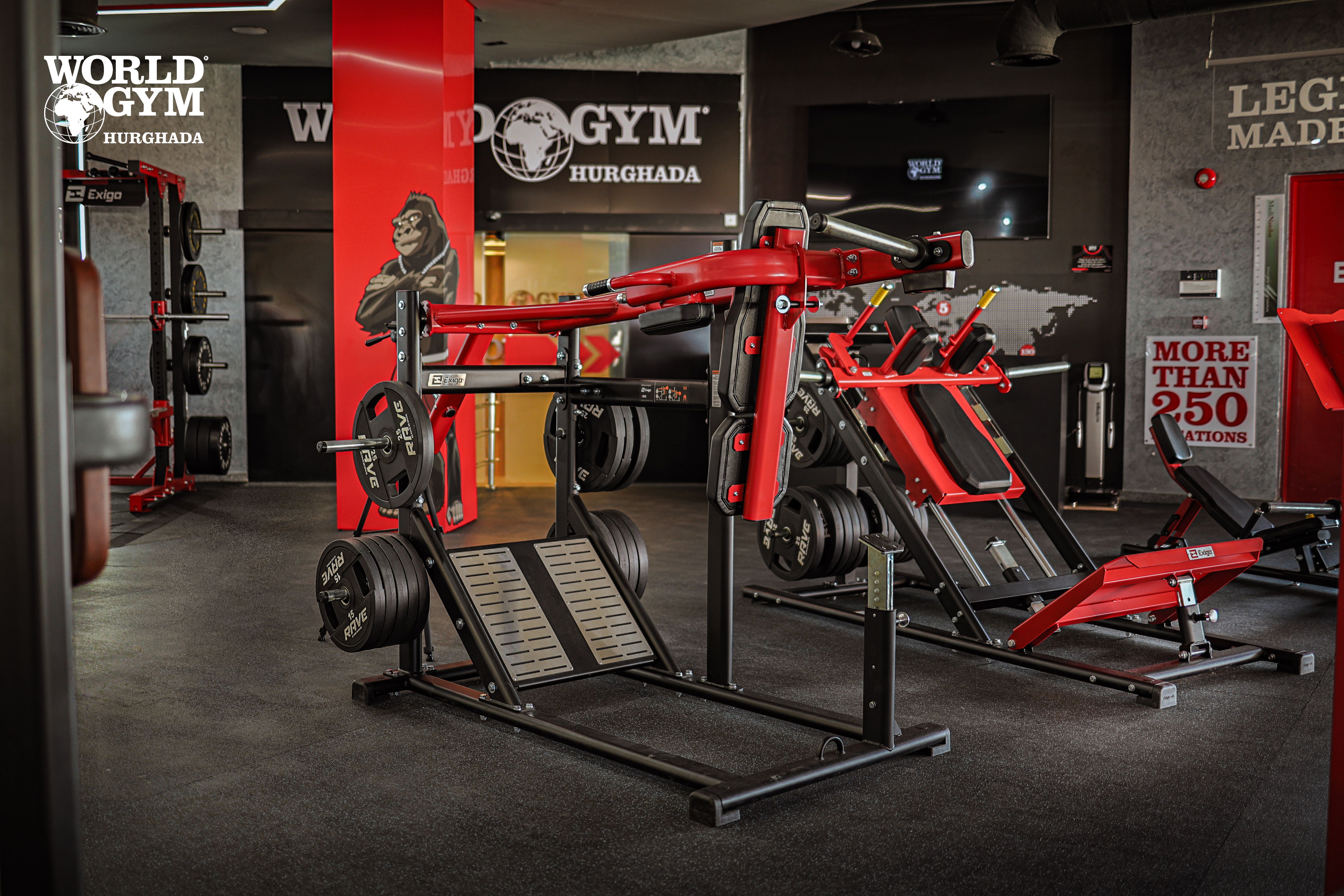 Plate loaded machines area