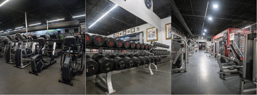 cardio - free weights.png